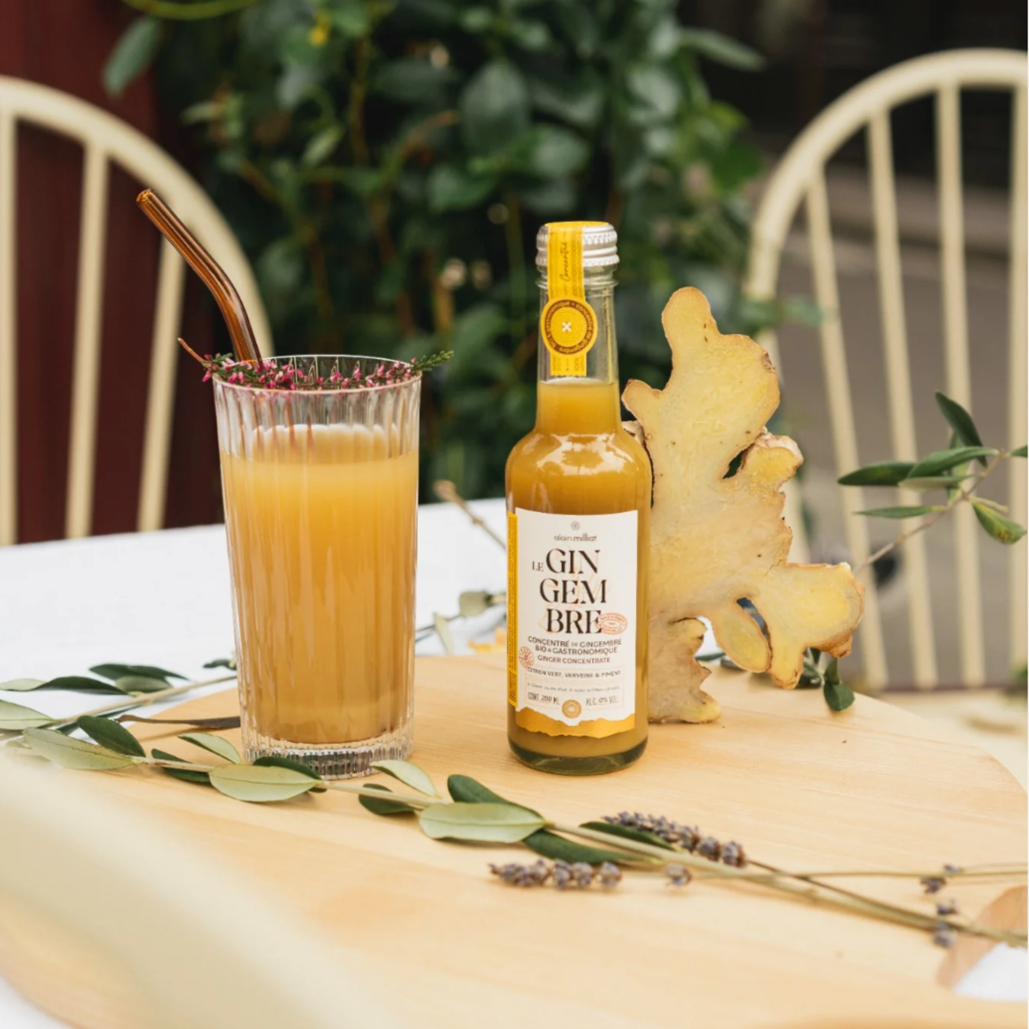 Organic Ginger Concentrate 750 ML