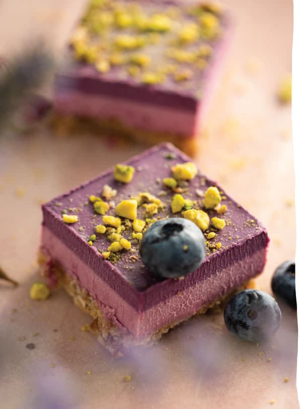 Raspberry & Blueberry Duo Pack Raw Cakes (4.6 oz.) - Vegan