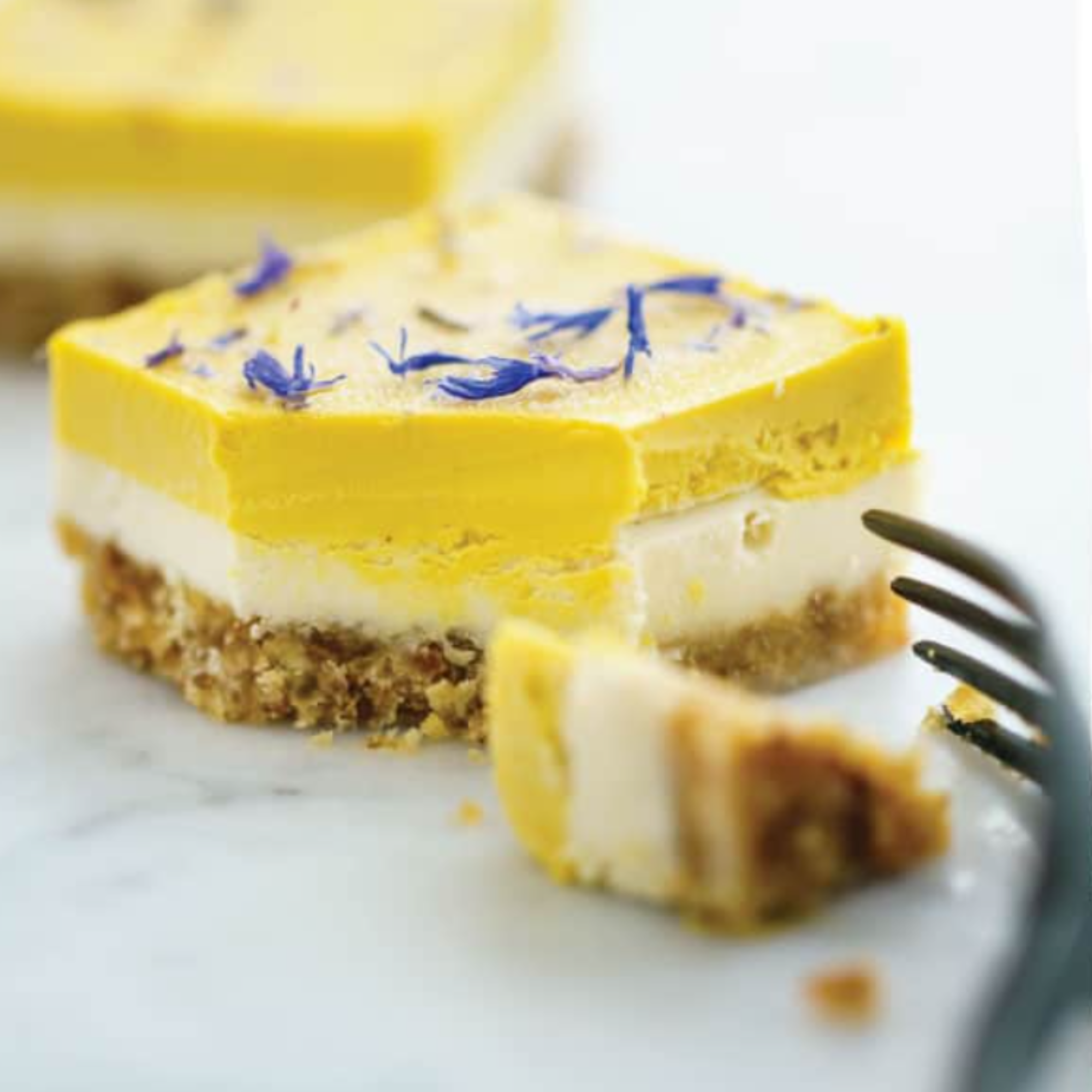 Lime & Mango Duo Pack Raw Cakes (4.6 oz.) - Vegan